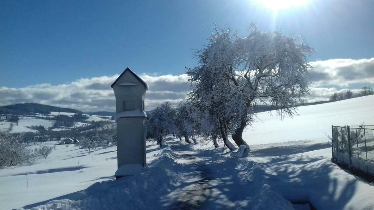 Stylova Chalupa Na Kraji Narodniho Parku Sumava Strunkov Exterior foto